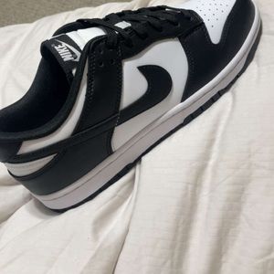 Men’s Nike Dunks size 10